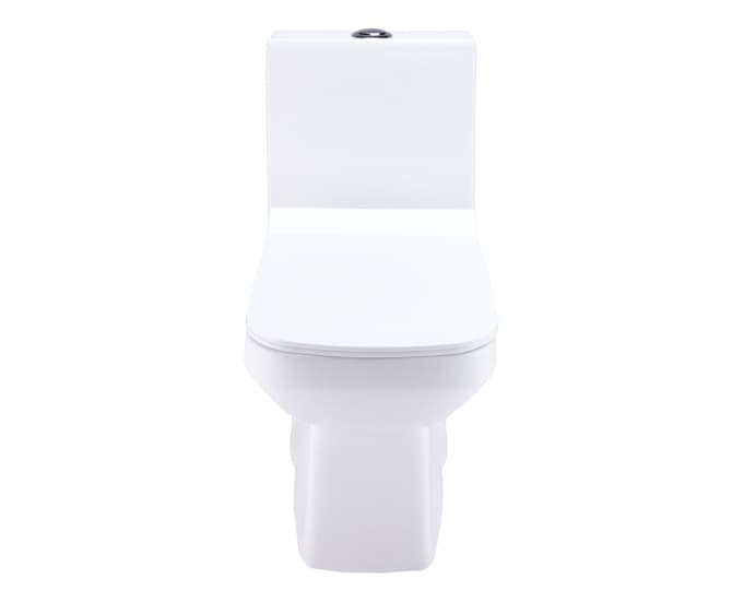 Corey One Piece Toilet | With Slim Soft Close Seat Cover | S Trap 220 mm | Size: 630 x 350 x 725 mm — image 2