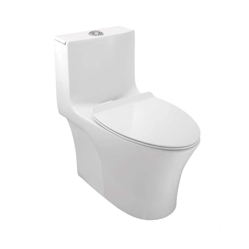 Rimless Single Piece Toilet | With UF Soft Close Slim Seat Cover, Hinges, Dual Flush Cistern Fitting, Fixing Set  | S Trap- 300mm — image 1