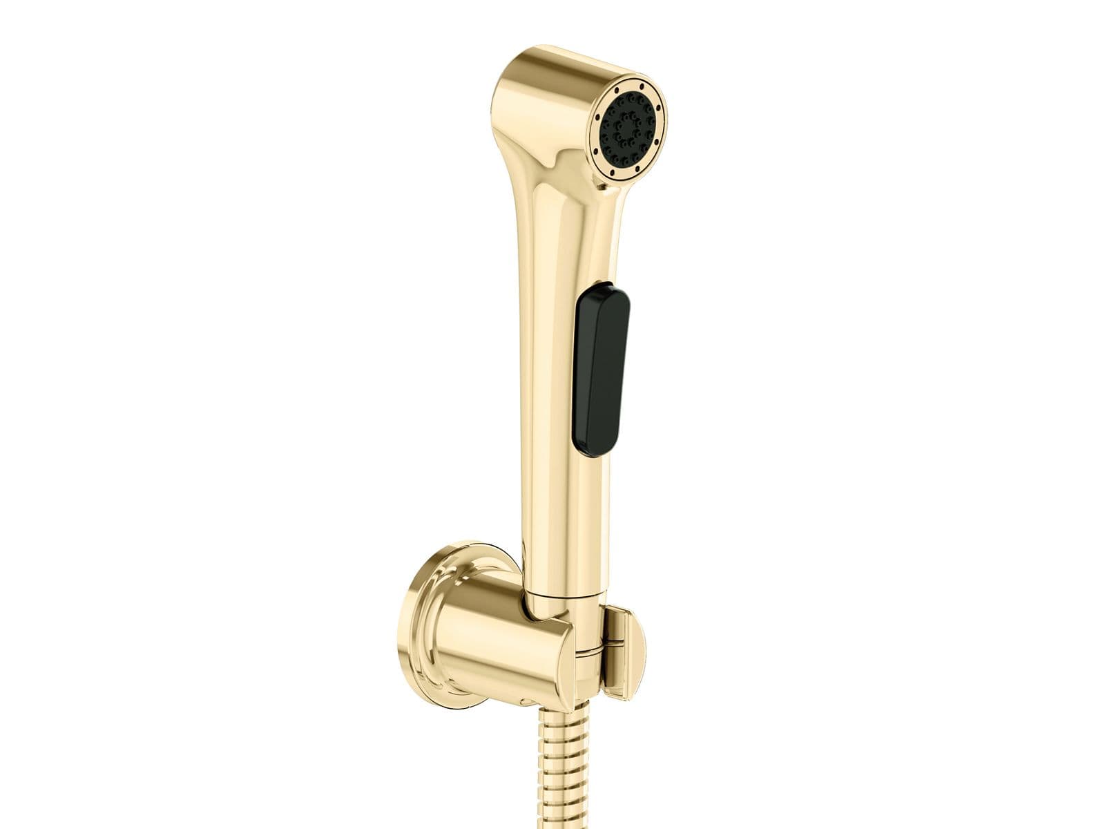 Health Faucet Set | French Gold Finish