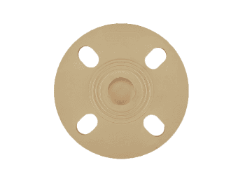 CPVC Flange With Gasket End Cap Closed | Size: 1"(25mm). — image 1