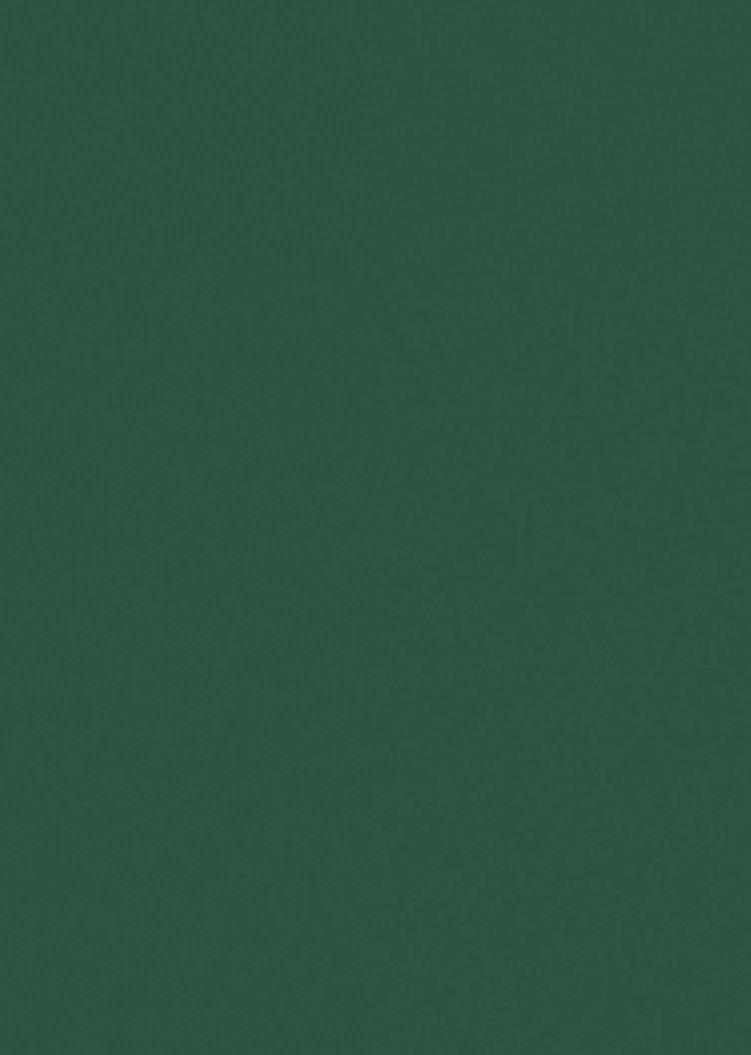 Steel Green Chalk Board Laminate | 1mm | Design: Solid Colour | Surface: Suede | Finish: Matte | Manufacturer Finish: Suede | Size: 8ft x 4ft — image 1