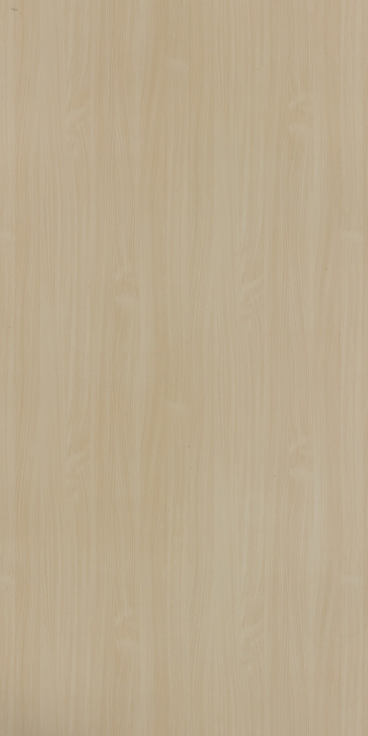 Bodensee Beech Laminate | 1mm | Design: Wood | Surface: Suede | Finish: Matte | Manufacturer Finish: Suede | Size: 8ft x 4ft — image 1