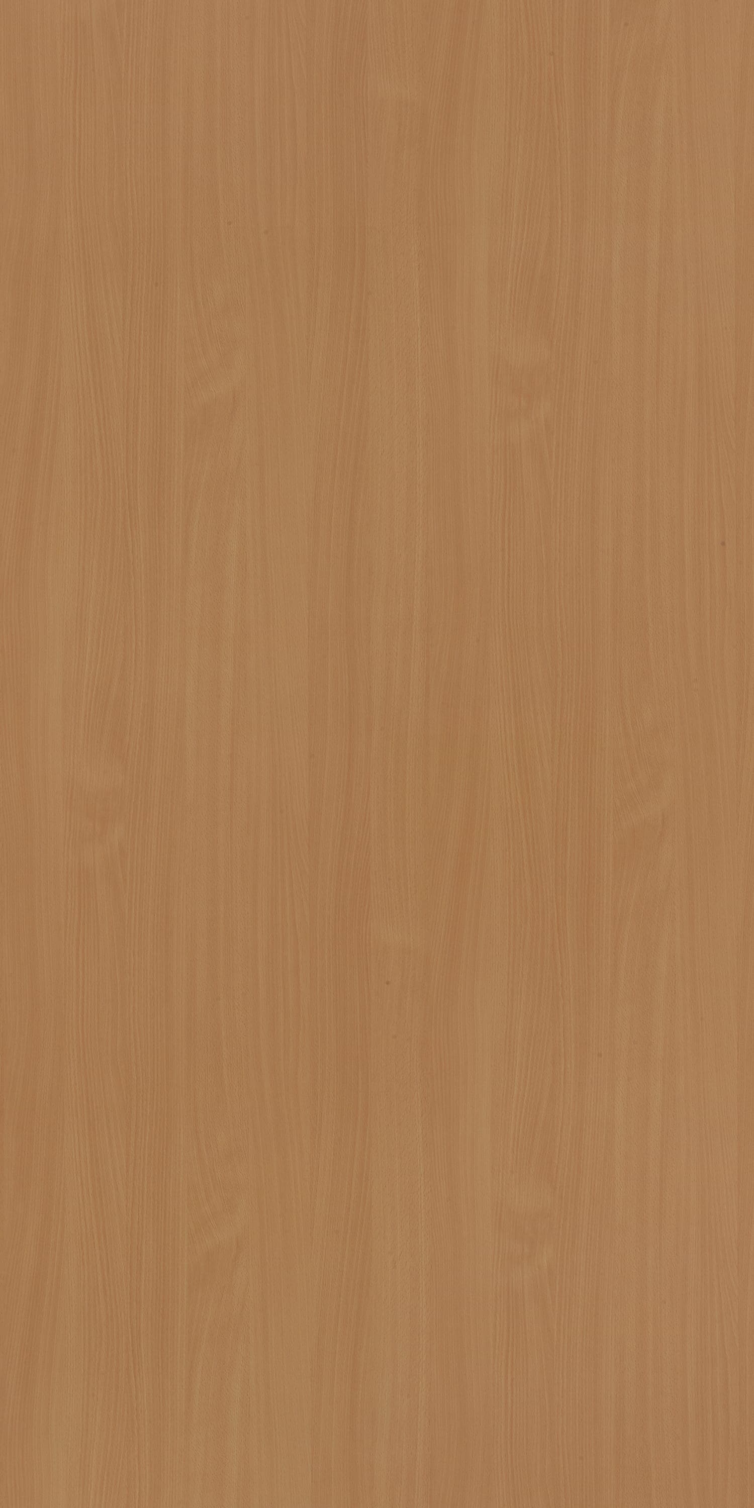 Bavarian Beech Laminate | 1mm | Design: Wood | Surface: Suede | Finish: Matte | Manufacturer Finish: Suede | Size: 8ft x 4ft — image 1