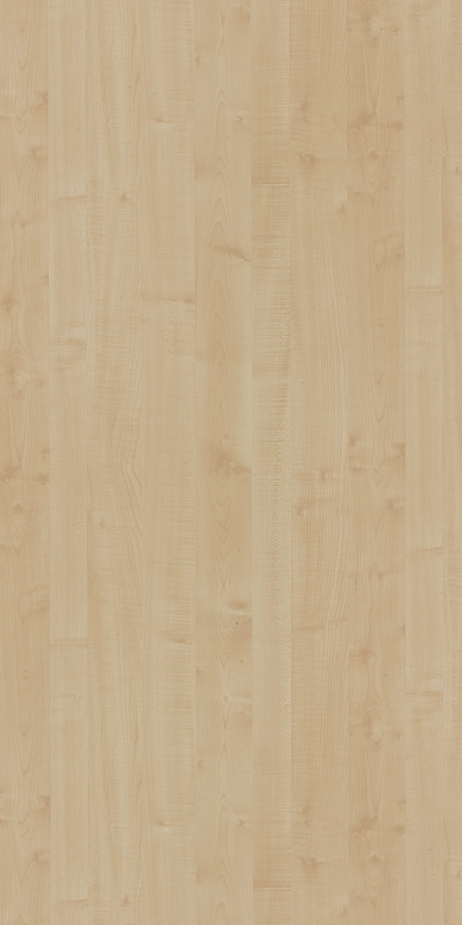 Thansue Maple Laminate | 1mm | Design: Wood | Surface: Suede | Finish: Matte | Manufacturer Finish: Suede | Size: 8ft x 4ft — image 1