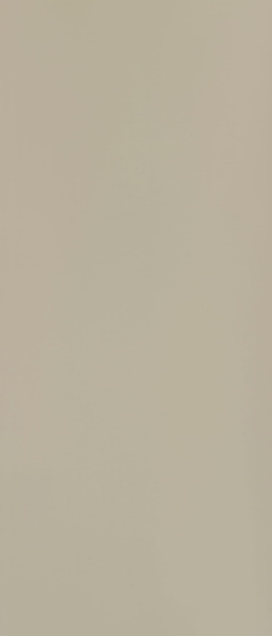 Ivory Laminate | 1mm | Design: Solid Colour | Surface: Suede | Finish: Matte | Manufacturer Finish: Suede | Size: 8ft x 4ft — image 1