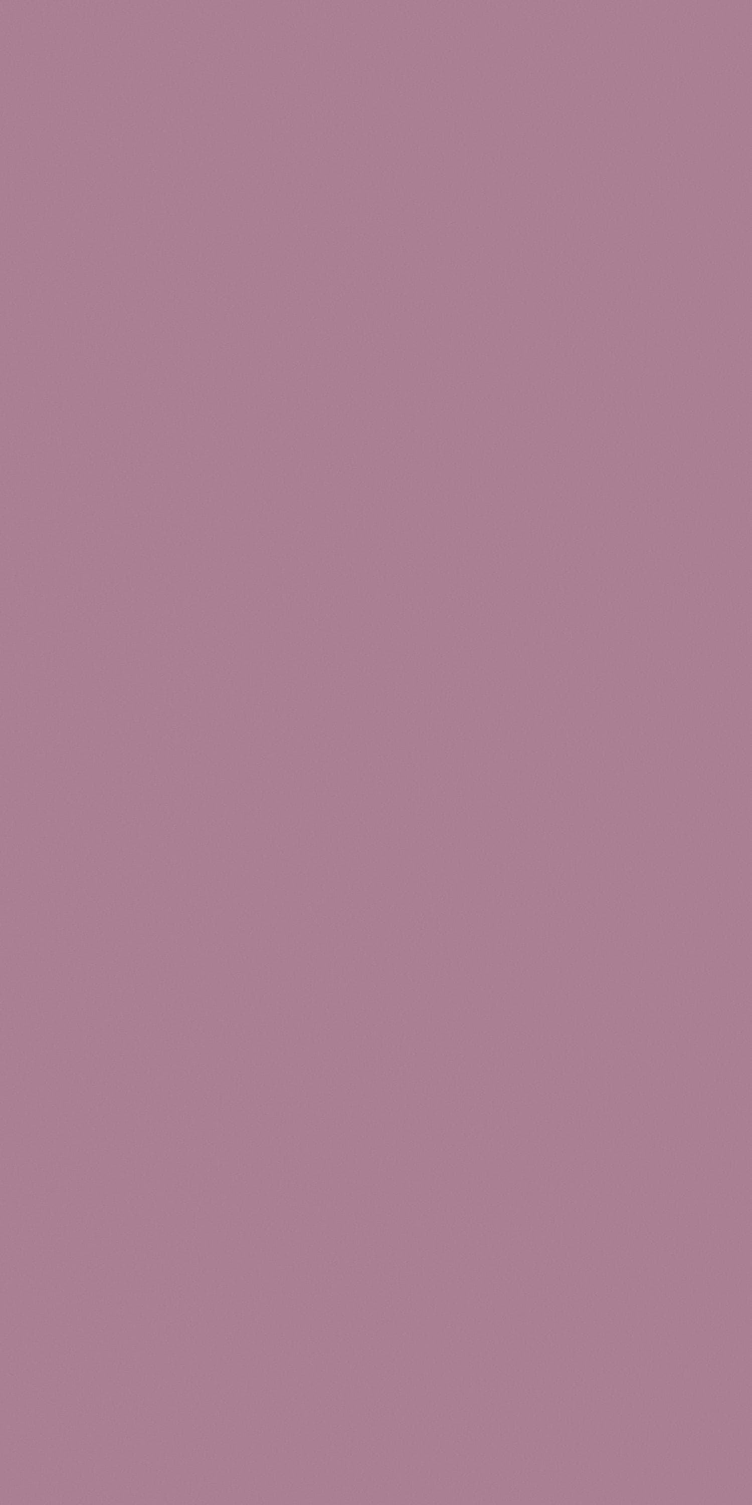 Orchid Haze Laminate | 1mm | Design: Solid Colour | Surface: Suede | Finish: Matte | Manufacturer Finish: Suede | Size: 8ft x 4ft — image 1