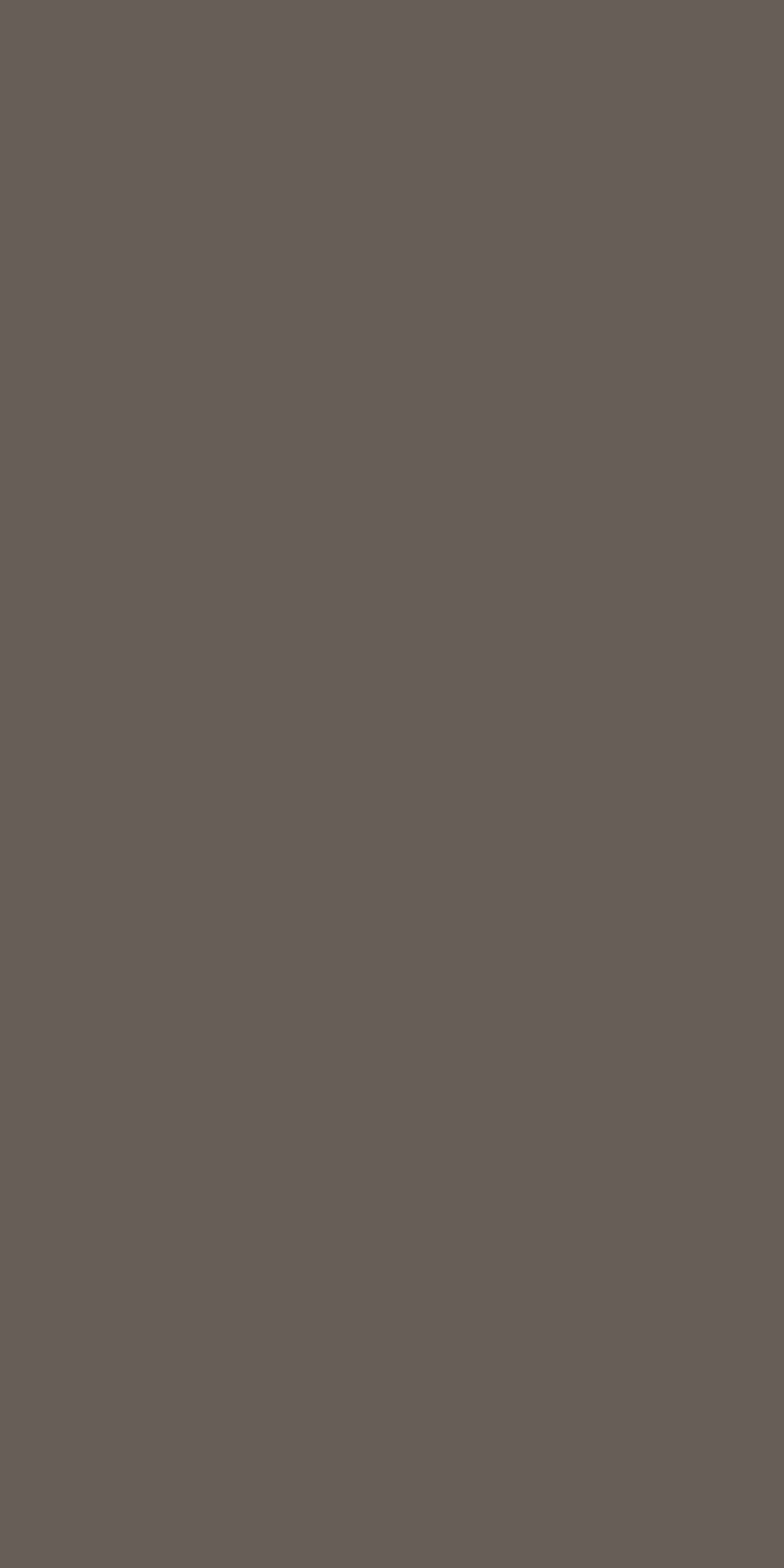 Maddy Mushroom Laminate | 1mm | Design: Solid Colour | Surface: Suede | Finish: Matte | Manufacturer Finish: Suede | Size: 8ft x 4ft — image 1
