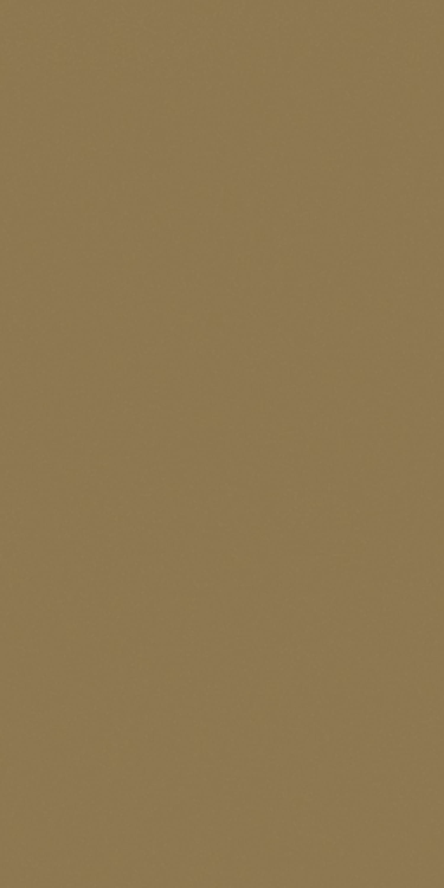 Camel Laminate | 1mm | Design: Solid Colour | Surface: Suede | Finish: Matte | Manufacturer Finish: Suede | Size: 8ft x 4ft — image 1
