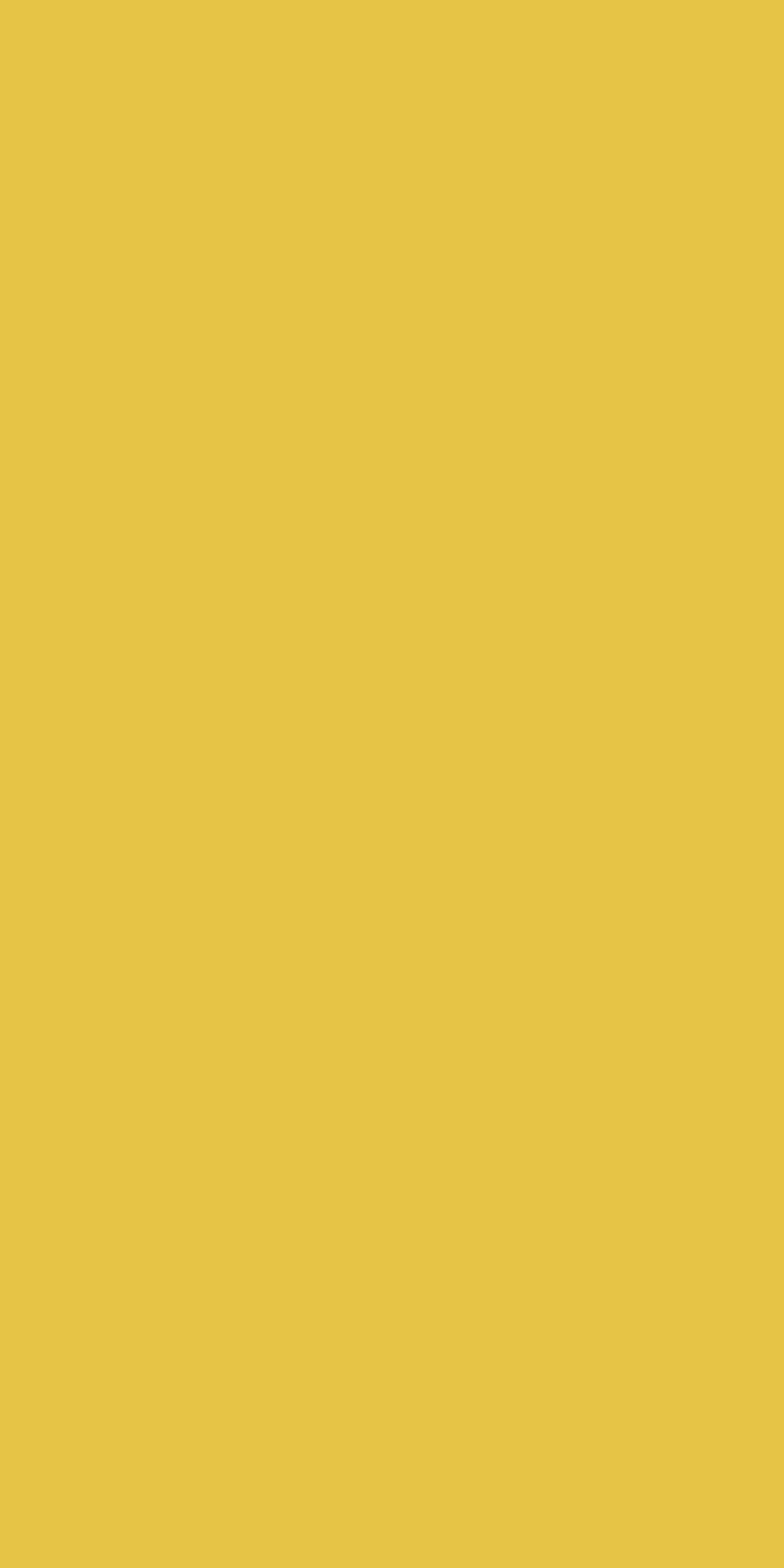 Glaze Yellow Laminate | 1mm | Design: Solid Colour | Surface: Suede | Finish: Matte | Manufacturer Finish: Suede | Size: 8ft x 4ft — image 1