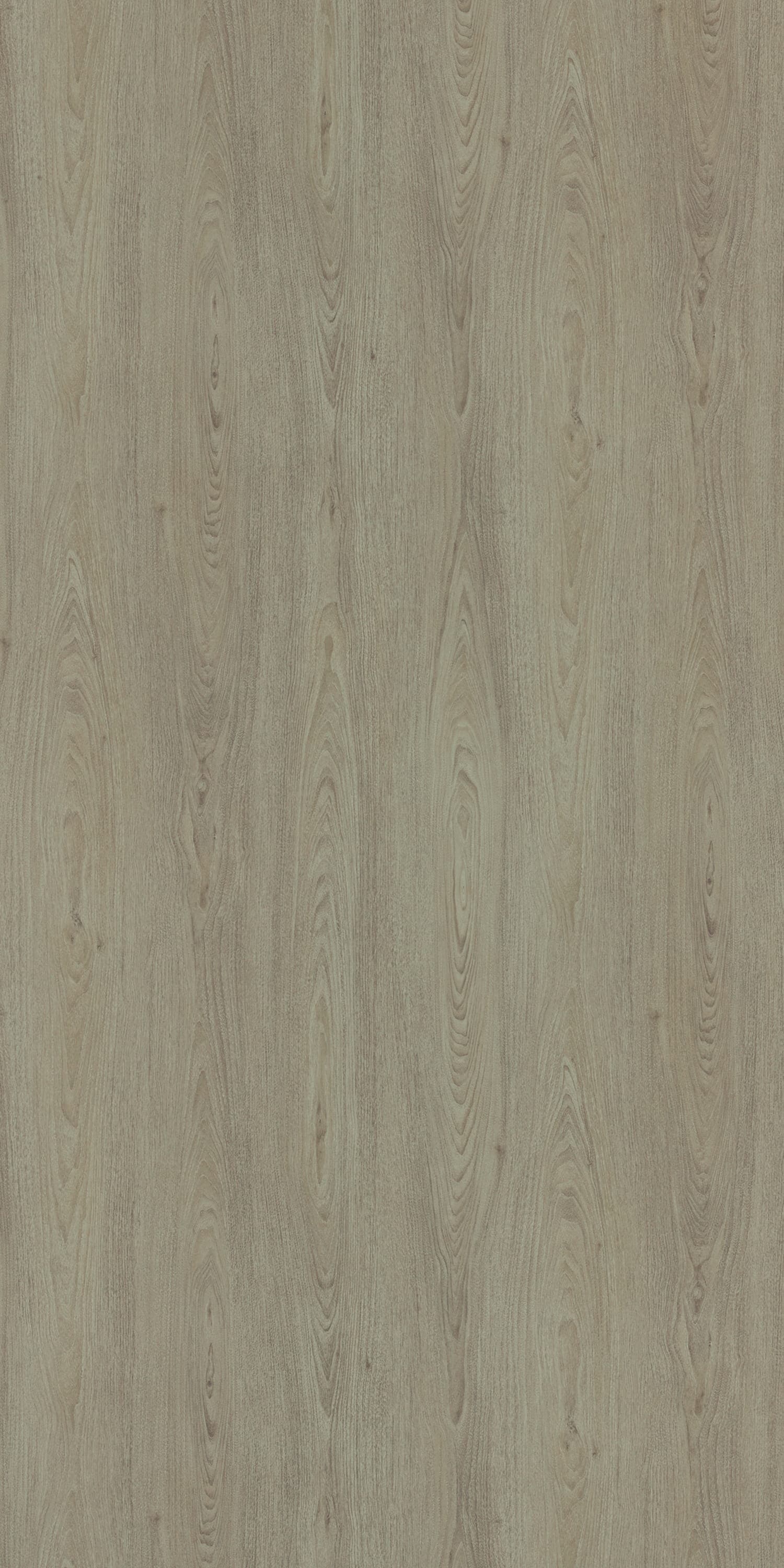 Chikhali Walnut Laminate | 1mm | Design: Wood | Surface: Woodgrain | Finish: Matte | Manufacturer Finish: Synchro Series | Size: 8ft x 4ft | Series: LookBook 2026-27