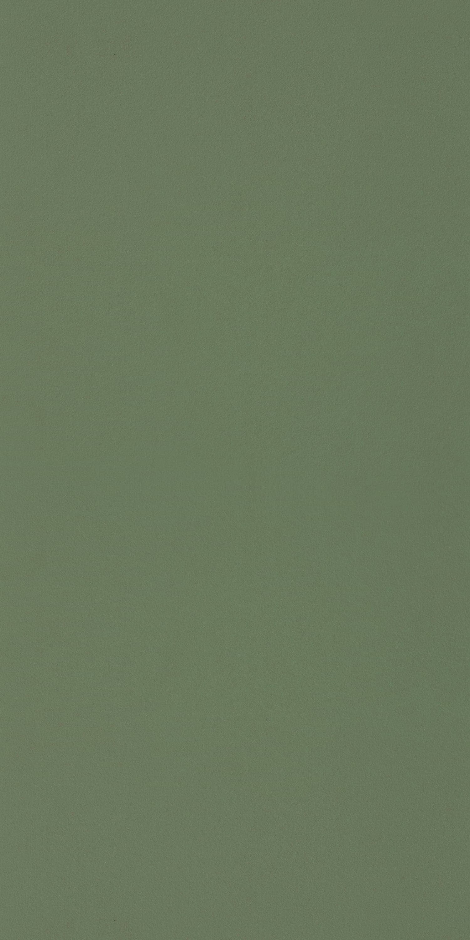 Sage Laminate | 1mm | Design: Solid Colour | Surface: Suede | Finish: Matte | Manufacturer Finish: Suede | Size: 8ft x 4ft | Series: LookBook 2026-27