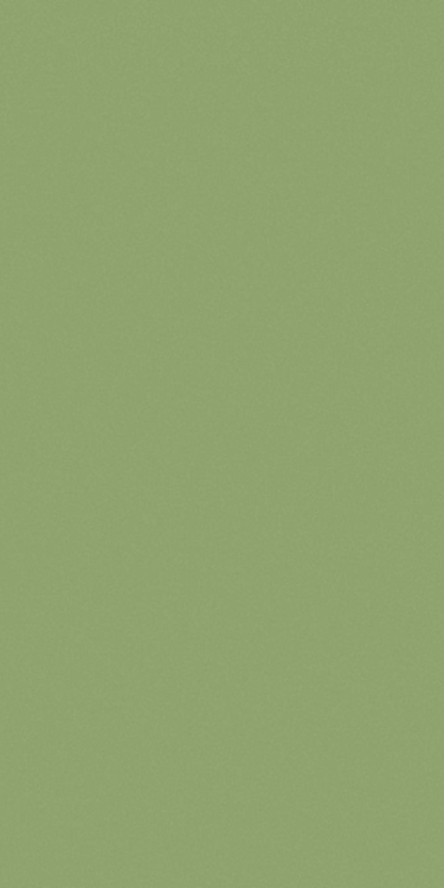 Pista Green Laminate | 1mm | Design: Solid Colour | Surface: Suede | Finish: Matte | Manufacturer Finish: Suede | Size: 8ft x 4ft — image 1