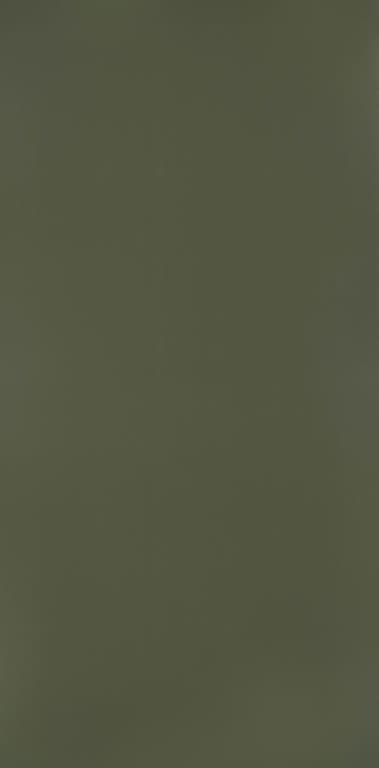 Olive Green Laminate | 1mm | Design: Solid Colour | Surface: Suede | Finish: Matte | Manufacturer Finish: Suede | Size: 8ft x 4ft — image 1