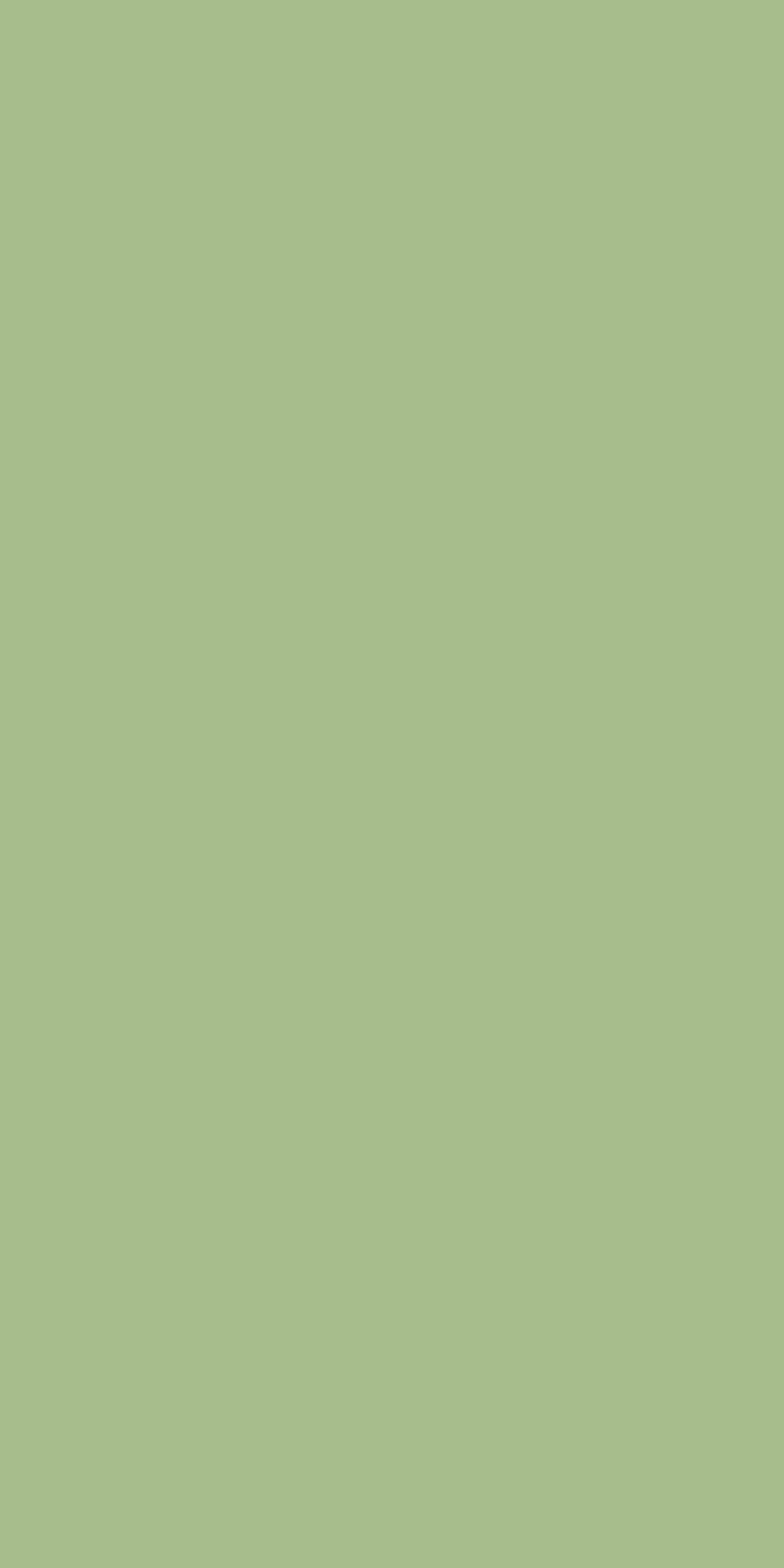 Seafoam Green Laminate | 1mm | Design: Solid Colour | Surface: Suede | Finish: Matte | Manufacturer Finish: Suede | Size: 8ft x 4ft — image 1