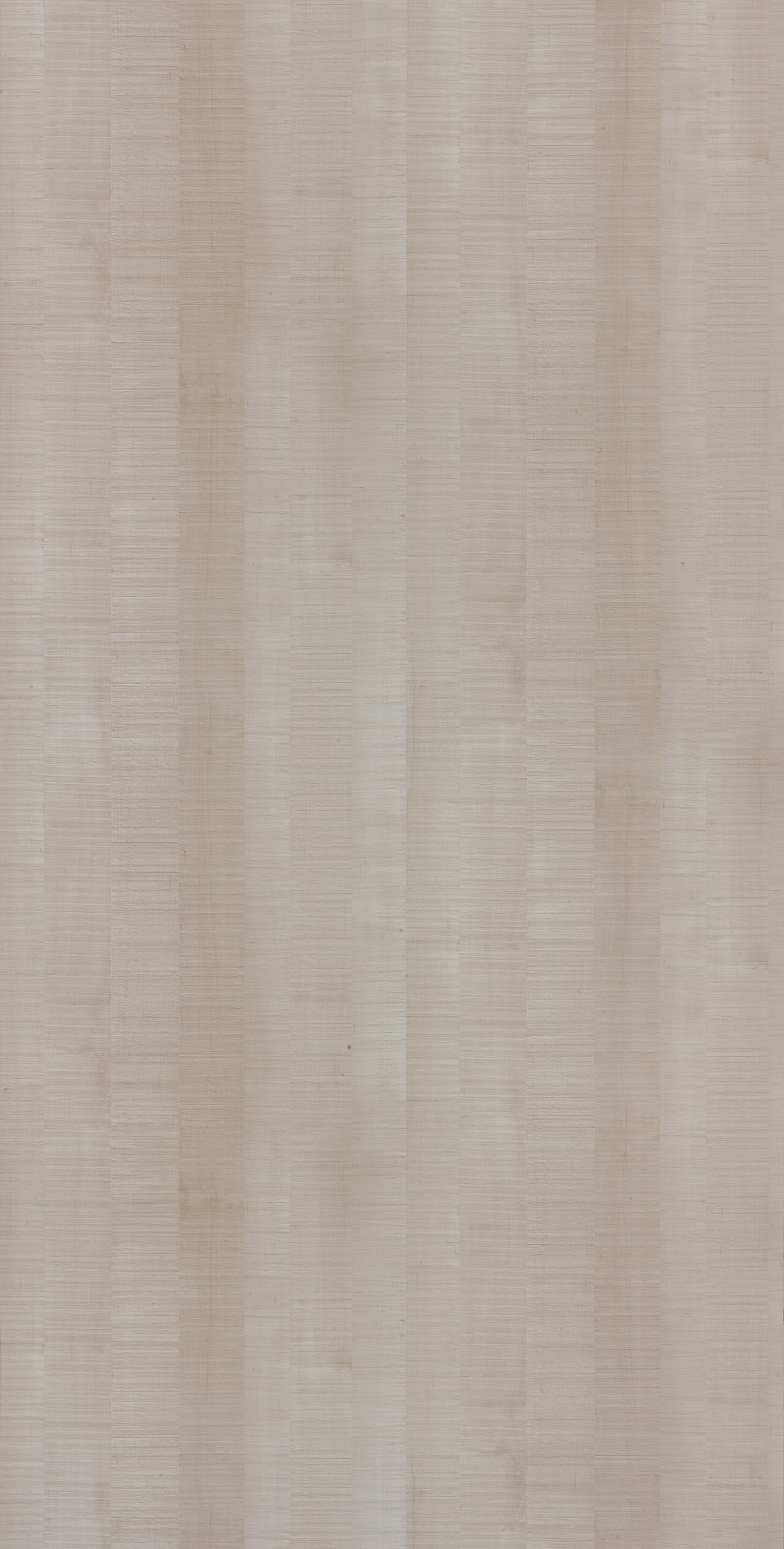 Claro Maple Laminate | 1mm | Design: Wood | Surface: Suede | Finish: Matte | Manufacturer Finish: Suede | Size: 8ft x 4ft — image 1