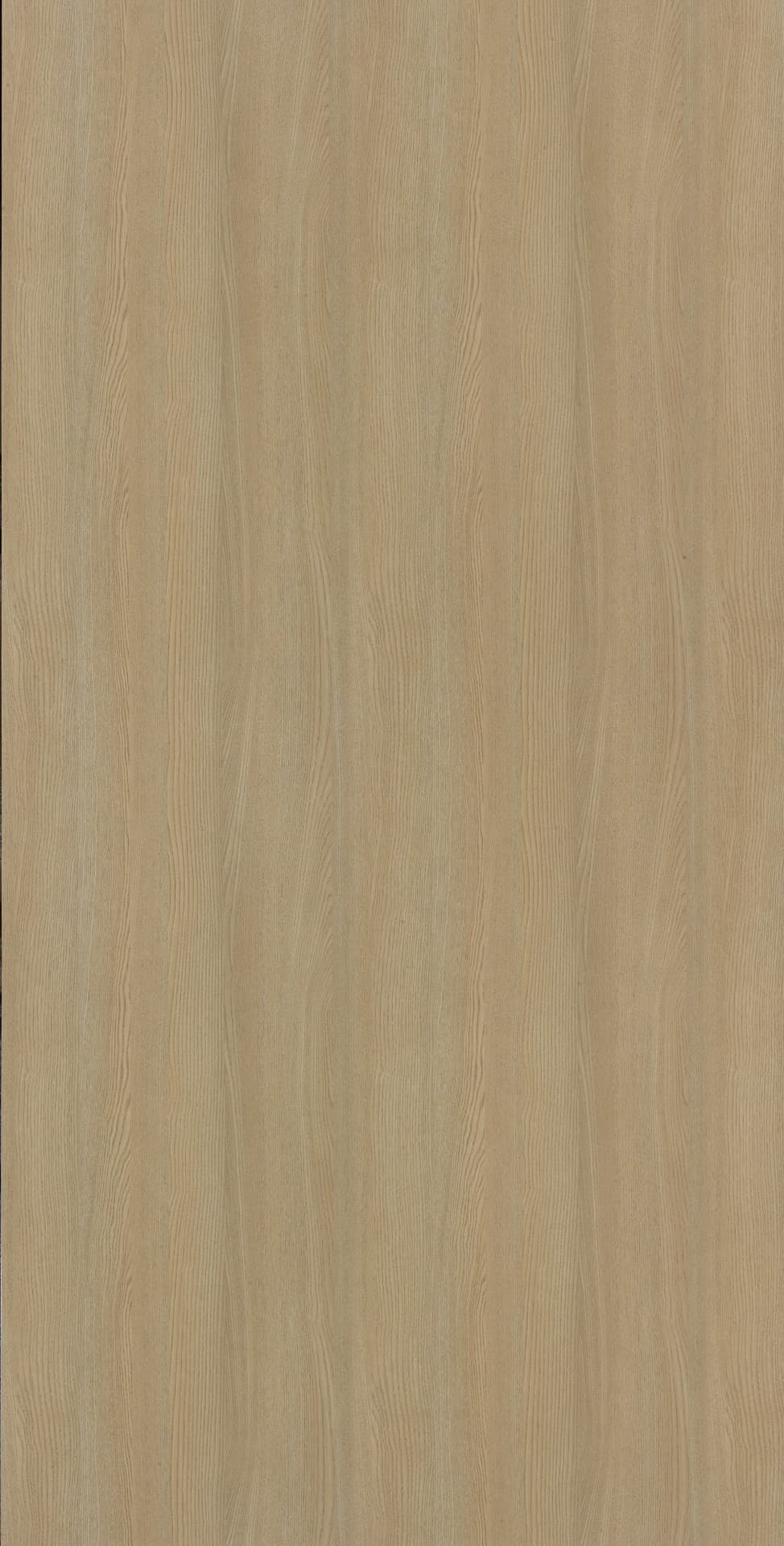 Bavarian Ash Beige Laminate | 1mm | Design: Wood | Surface: Suede | Finish: Matte | Manufacturer Finish: Suede | Size: 8ft x 4ft — image 1