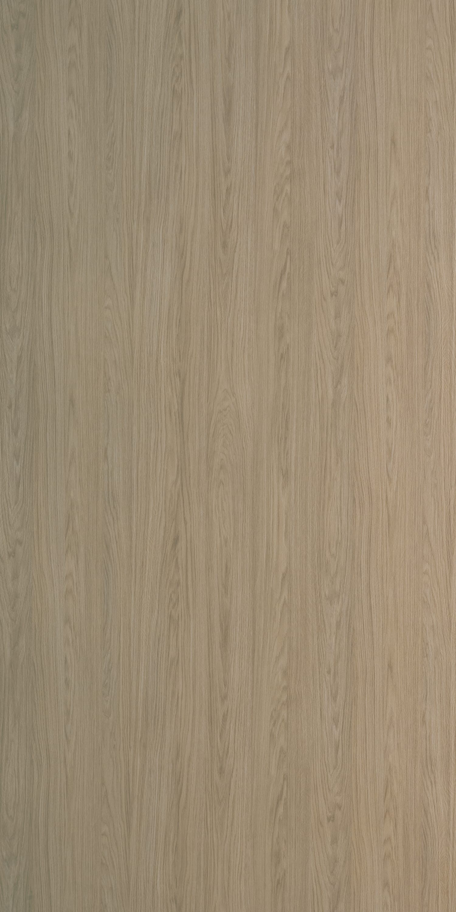Japanese Oak Laminate | 1mm | Design: Wood | Surface: Suede | Finish: Matte | Manufacturer Finish: Suede | Size: 8ft x 4ft — image 1
