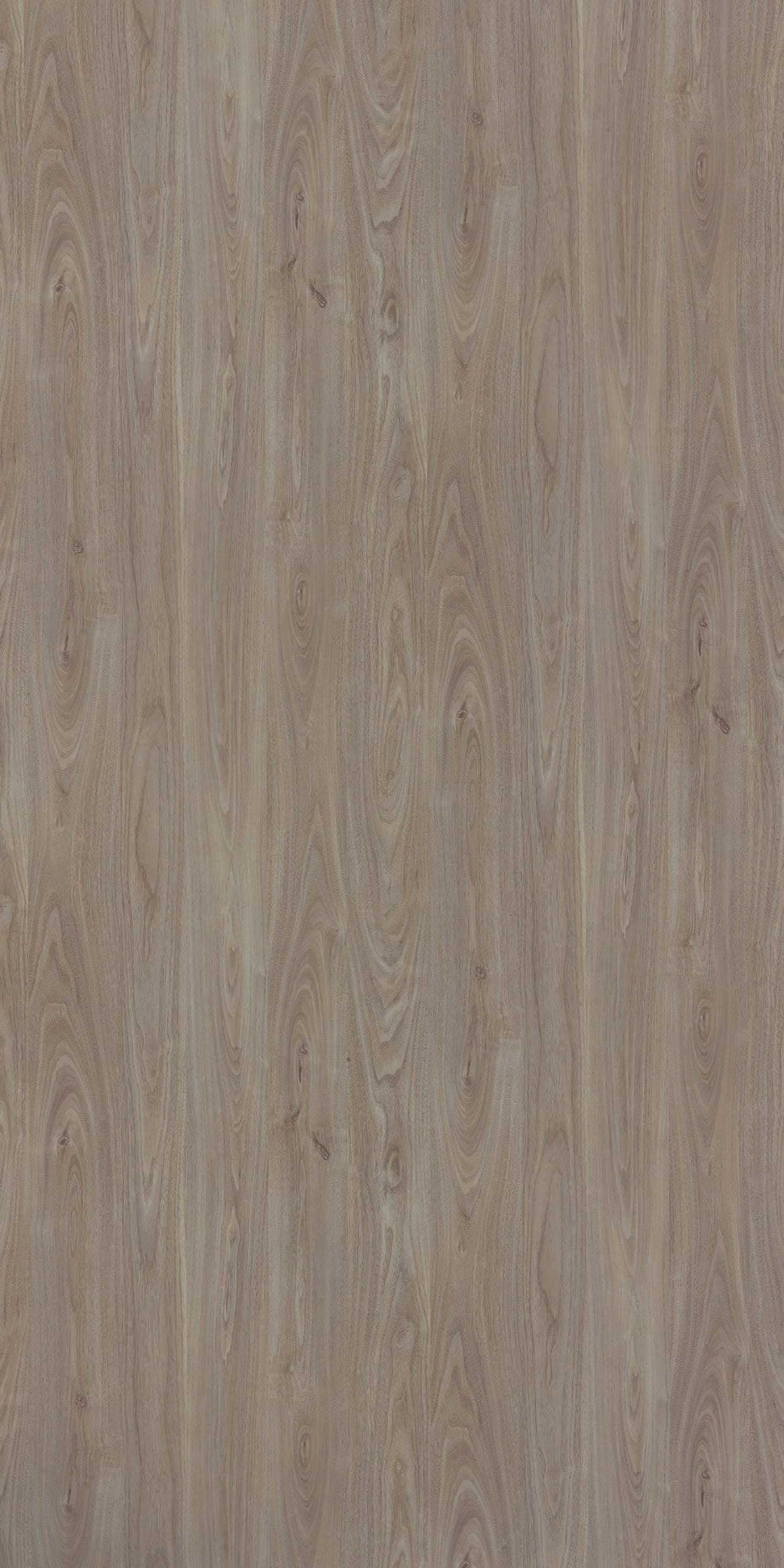 Pide Nefis Walnut Laminate | 1mm | Design: Wood | Surface: Suede | Finish: Matte | Manufacturer Finish: Suede | Size: 8ft x 4ft — image 1