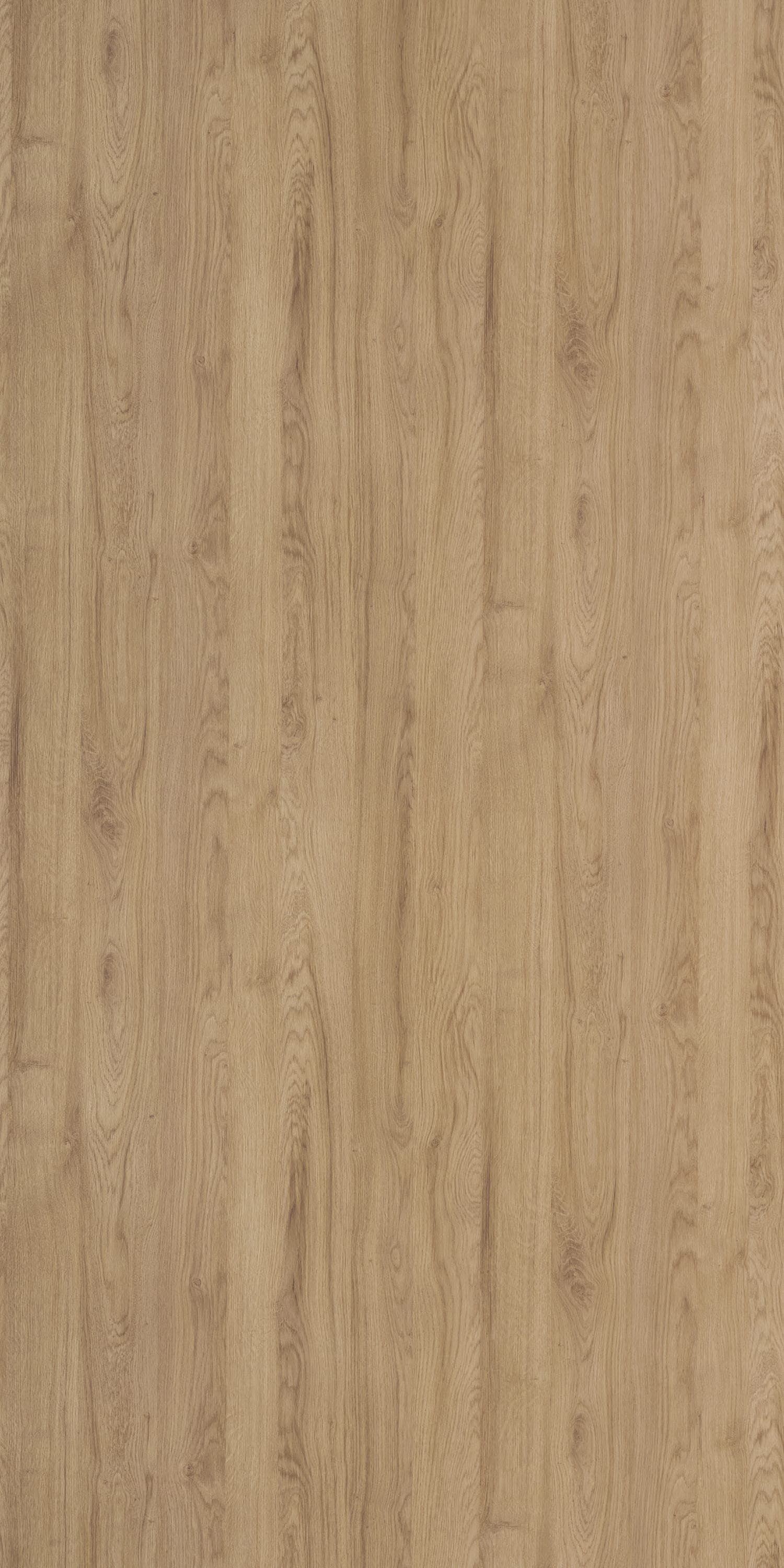 Conjo Oak Laminate | 1mm | Design: Wood | Surface: Suede | Finish: Matte | Manufacturer Finish: Suede | Size: 8ft x 4ft — image 1