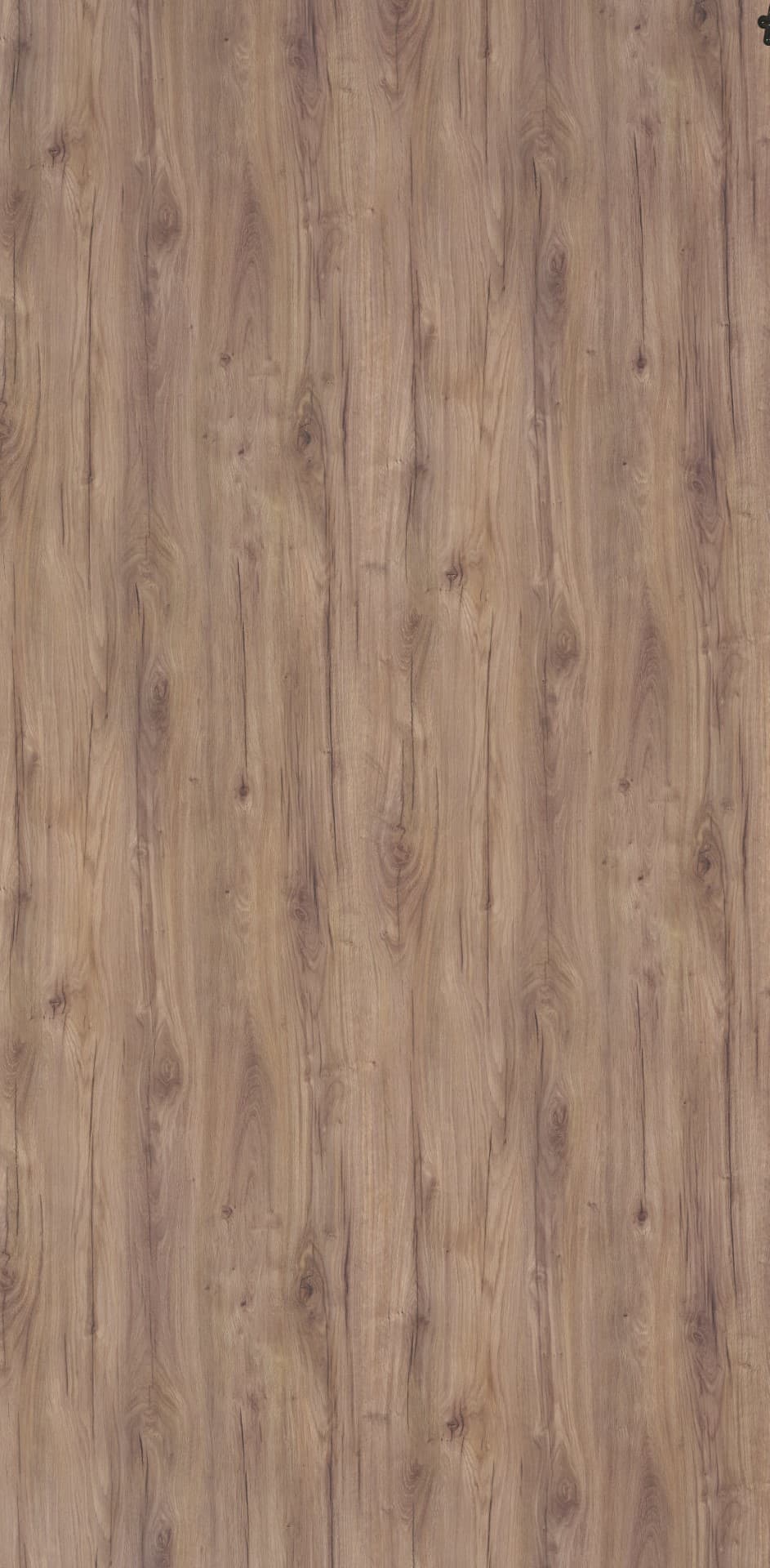 Nambia Oak Laminate | 1mm | Design: Wood | Surface: Suede | Finish: Matte | Manufacturer Finish: Suede | Size: 8ft x 4ft | Series: LookBook 2026-27