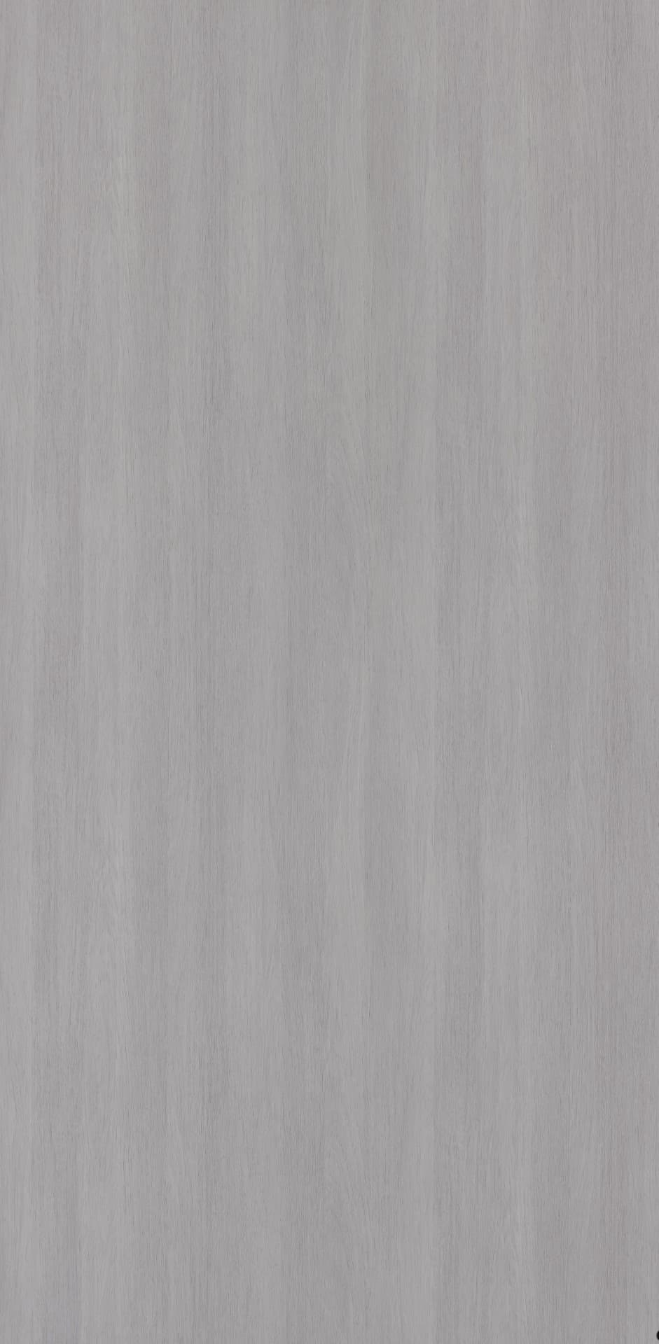 Silver Wenge Laminate | 1mm | Design: Wood | Surface: Suede | Finish: Matte | Manufacturer Finish: Suede | Size: 8ft x 4ft — image 1