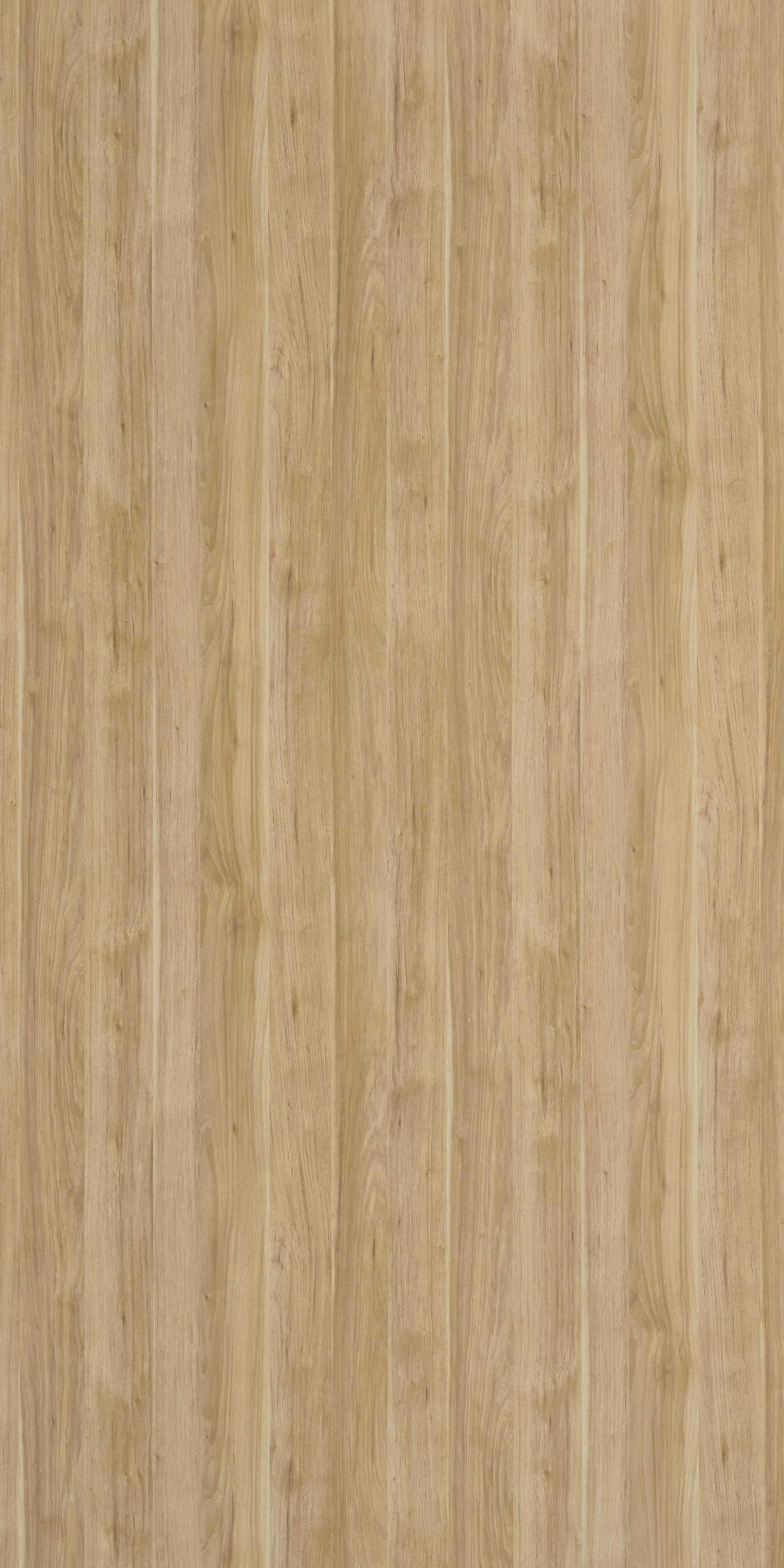 Brazilian Wood Laminate | 1mm | Design: Wood | Surface: Suede | Finish: Matte | Manufacturer Finish: Suede | Size: 8ft x 4ft — image 1