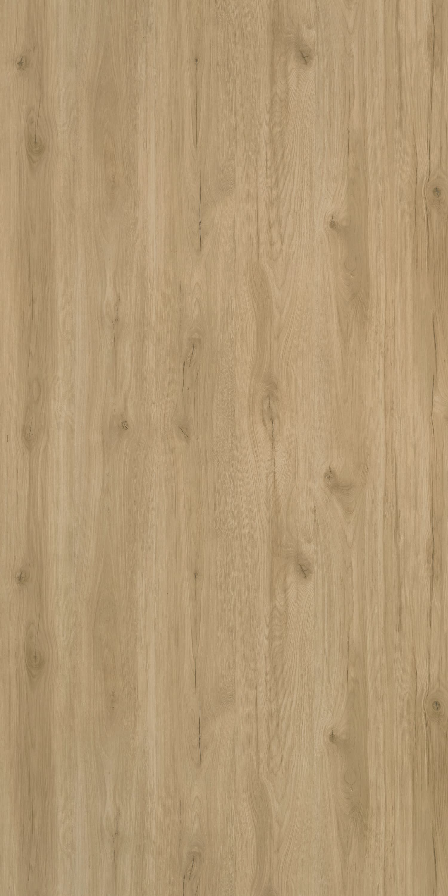 Valencia Oak Laminate | 1mm | Design: Wood | Surface: Suede | Finish: Matte | Manufacturer Finish: Suede | Size: 8ft x 4ft — image 1