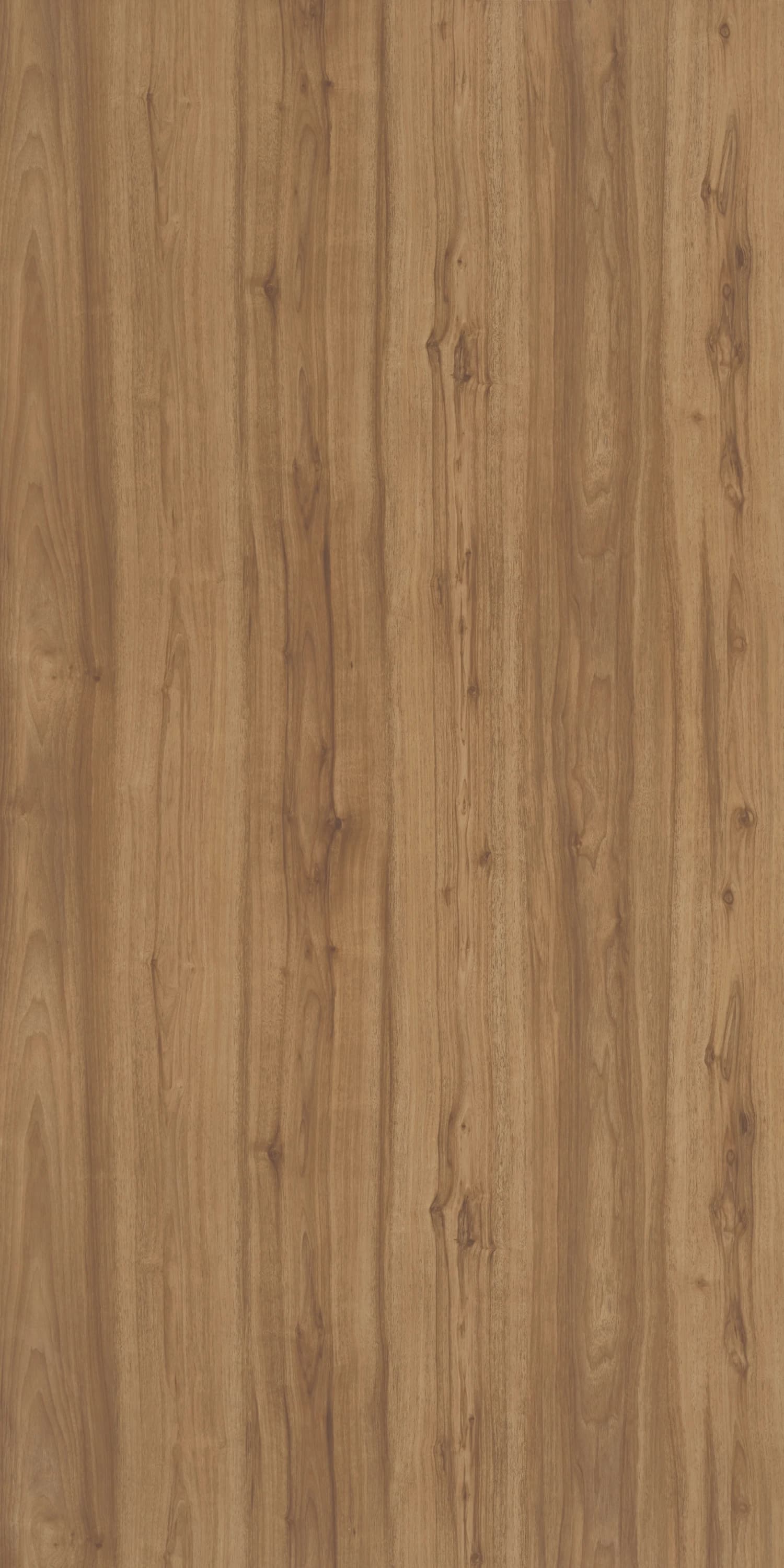 Sylvan Walnut Laminate | 1mm | Design: Wood | Surface: Suede | Finish: Matte | Manufacturer Finish: Suede | Size: 8ft x 4ft — image 1