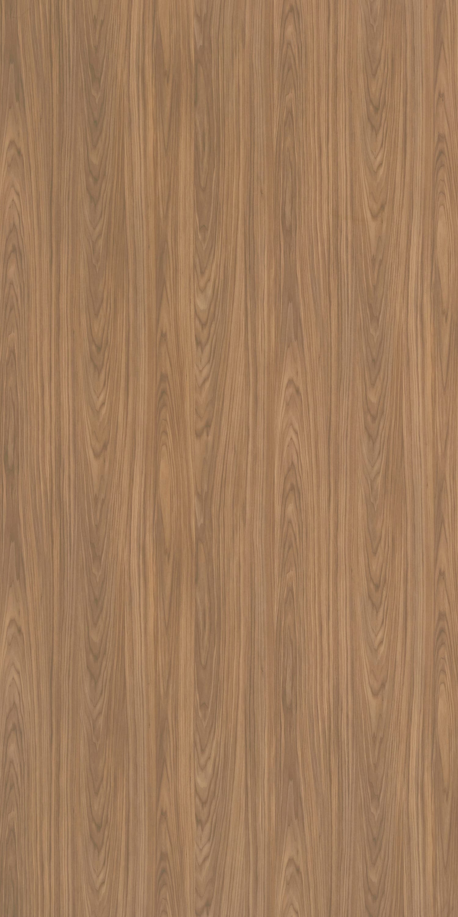 Royce Walnut Laminate | 1mm | Design: Wood | Surface: Suede | Finish: Matte | Manufacturer Finish: Suede | Size: 8ft x 4ft — image 1