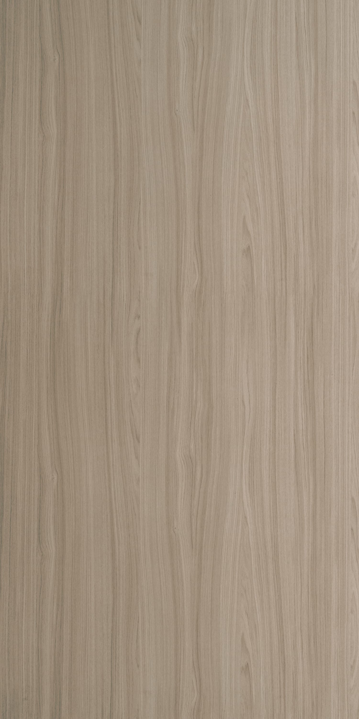 Antaris Oak Light Laminate | 1mm | Design: Wood | Surface: Suede | Finish: Matte | Manufacturer Finish: Suede | Size: 8ft x 4ft — image 1