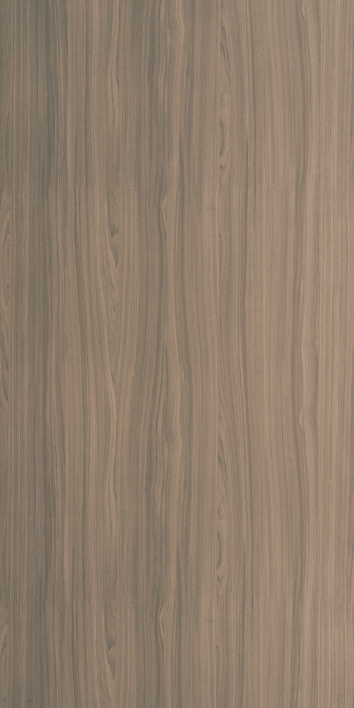 Antaris Oak Medium Laminate | 1mm | Design: Wood | Surface: Suede | Finish: Matte | Manufacturer Finish: Suede | Size: 8ft x 4ft | Series: LookBook 2026-27