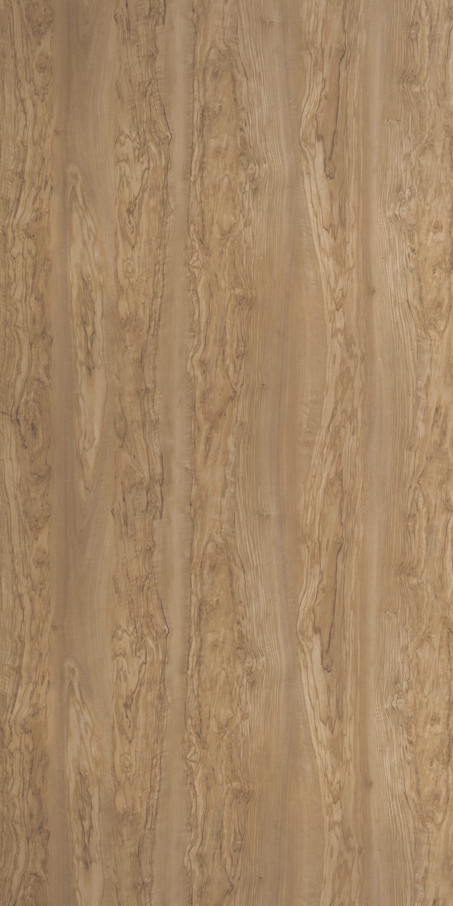 Moroccan Olive Laminate | 1mm | Design: Wood | Surface: Suede | Finish: Matte | Manufacturer Finish: Suede | Size: 8ft x 4ft — image 1
