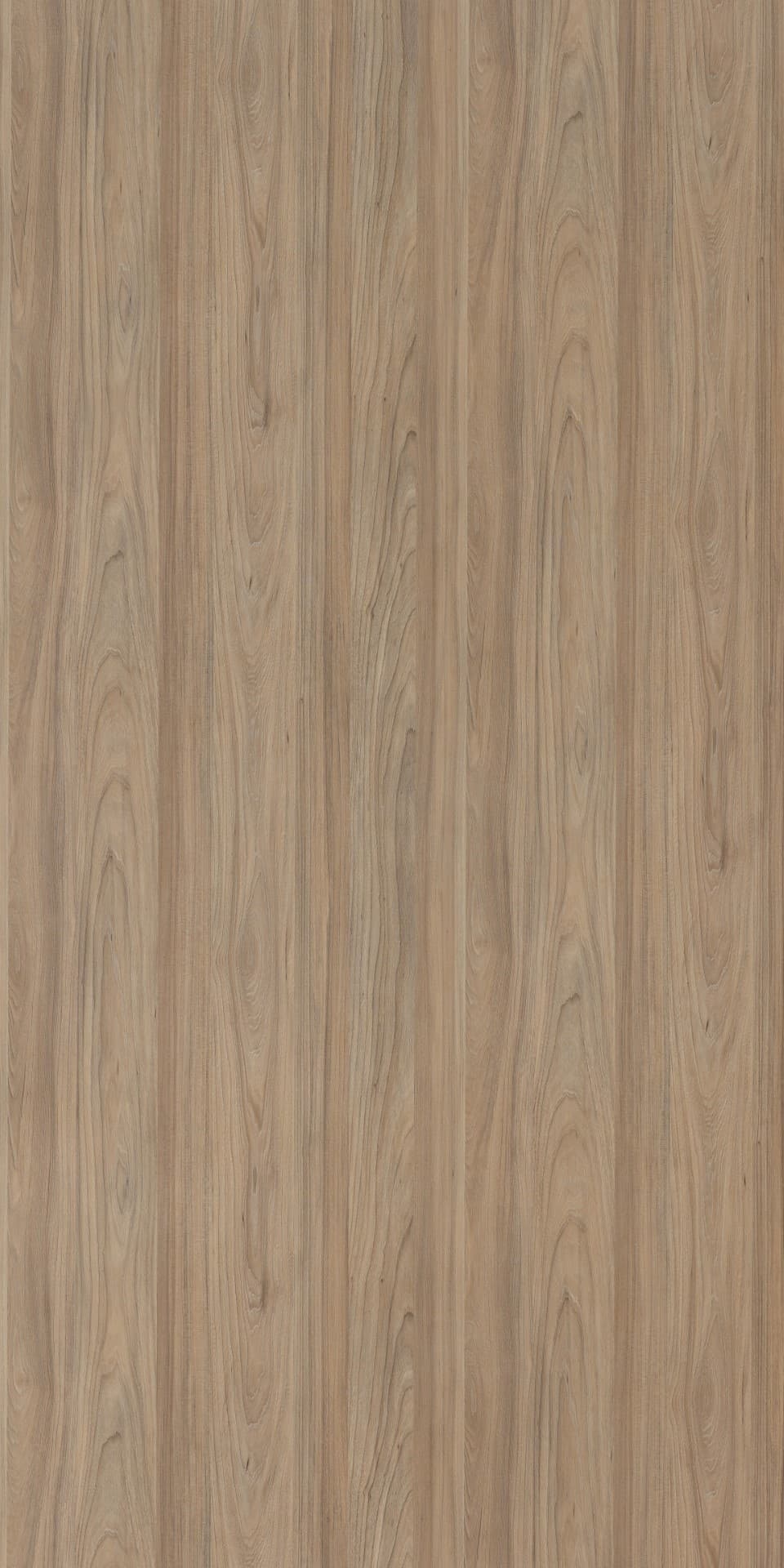 Swiss Elm Laminate | 1mm | Design: Wood | Surface: Suede | Finish: Matte | Manufacturer Finish: Suede | Size: 8ft x 4ft — image 1
