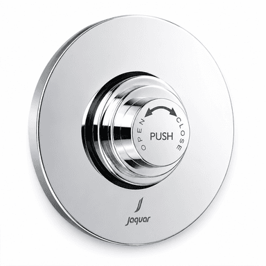 Flush Valve