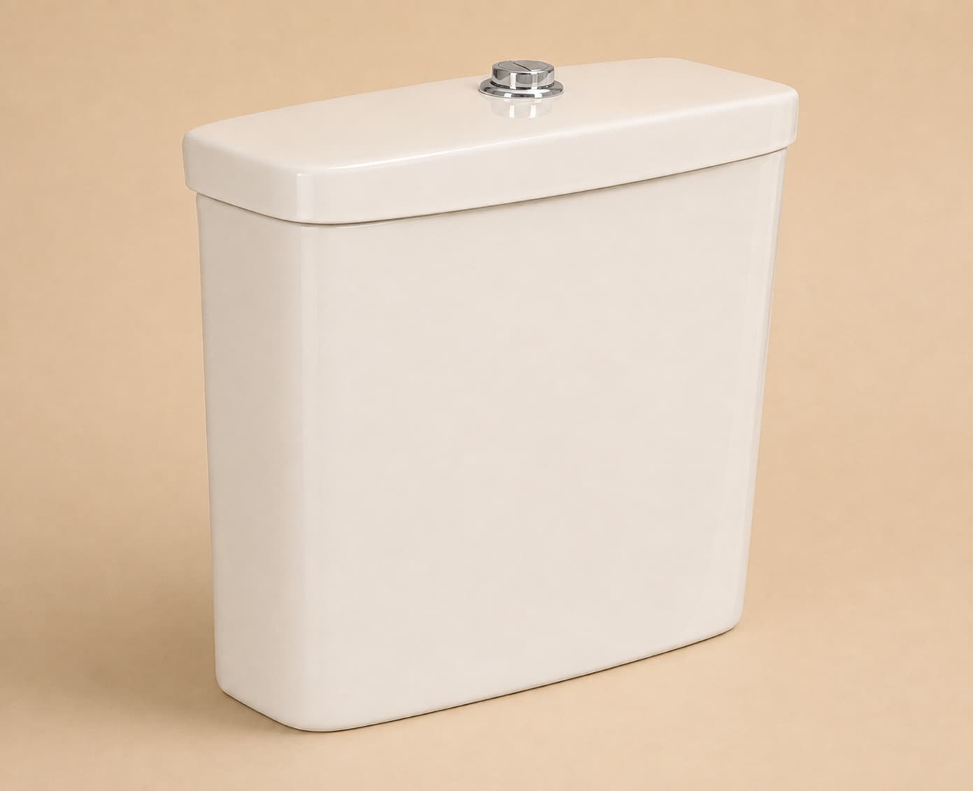 Flushing System